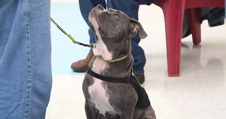 FETCH 프로그램의 개